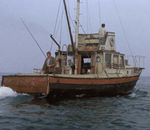 jaws